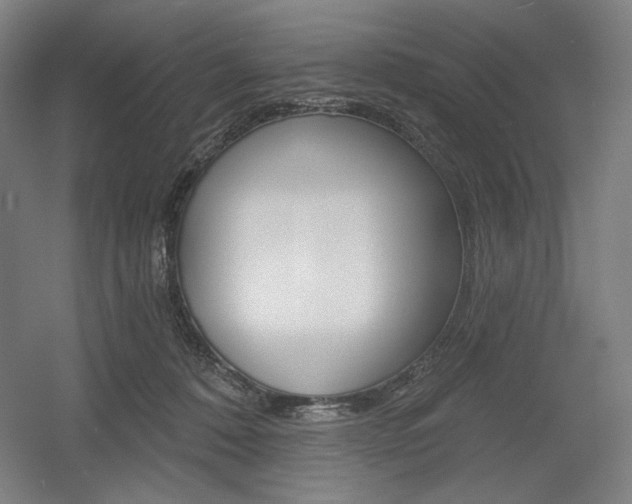 X0000055970320200508190710