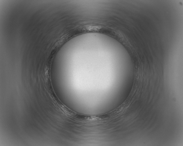 X0000055970321200508190710