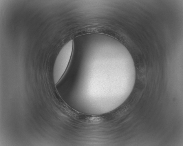 X0000055970324200508190710