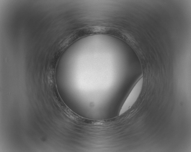 X0000055970325200508190710