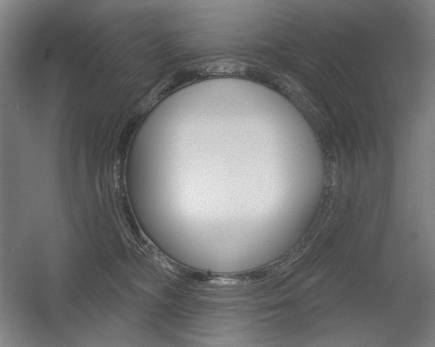 X0000055970326200508190710