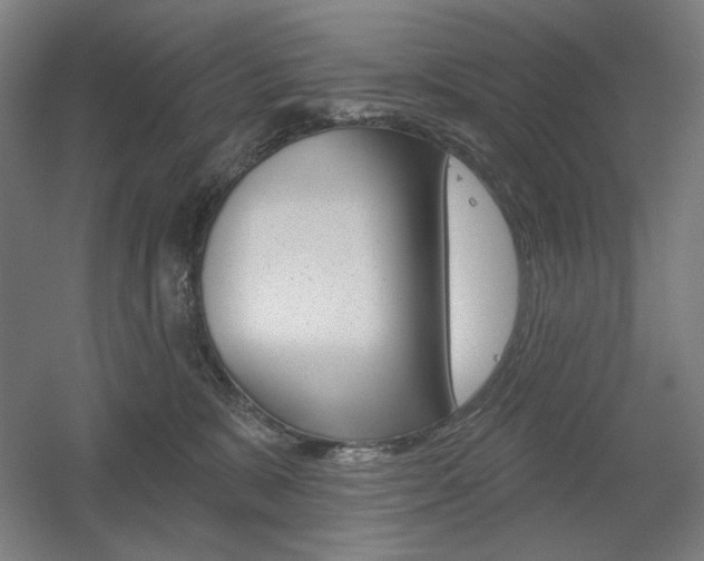 X0000055970327200508190710