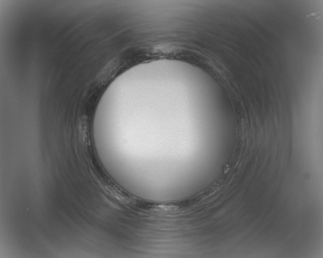 X0000055970328200508190710