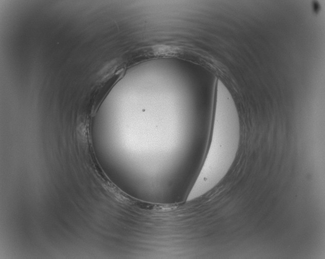 X0000055970329200508190710