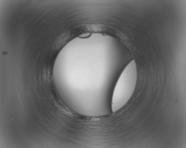 X0000055970330200508190710
