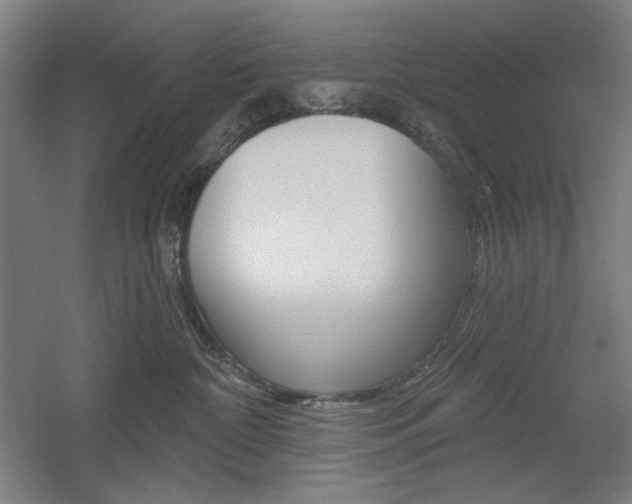 X0000055970332200508190710