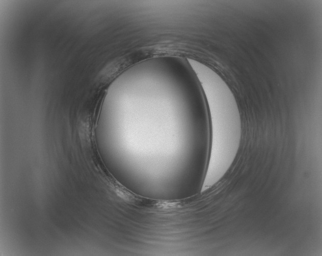 X0000055970333200508190710
