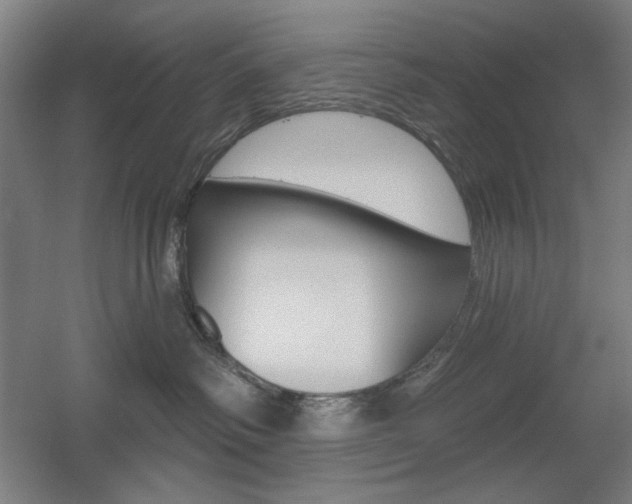X0000055970334200508190710
