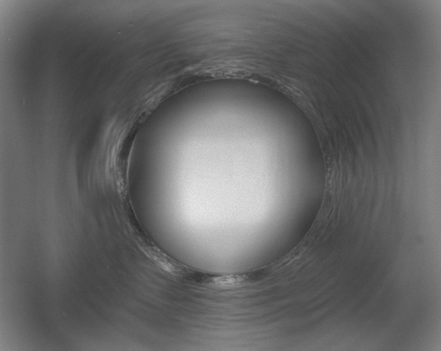X0000055970335200508190710