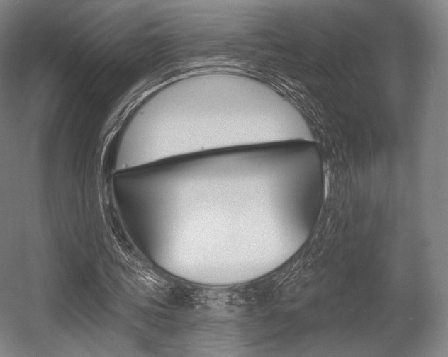 X0000055970339200508190709