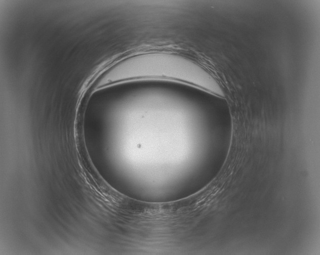 X0000055970340200508190709