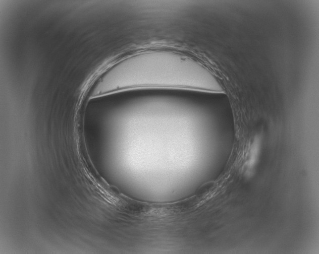 X0000055970341200508190709