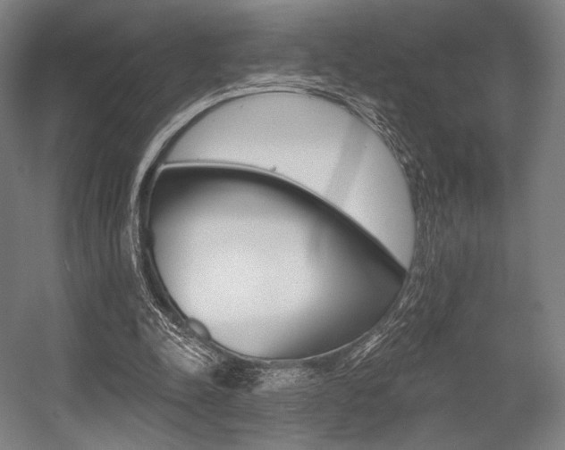 X0000055970342200508190709