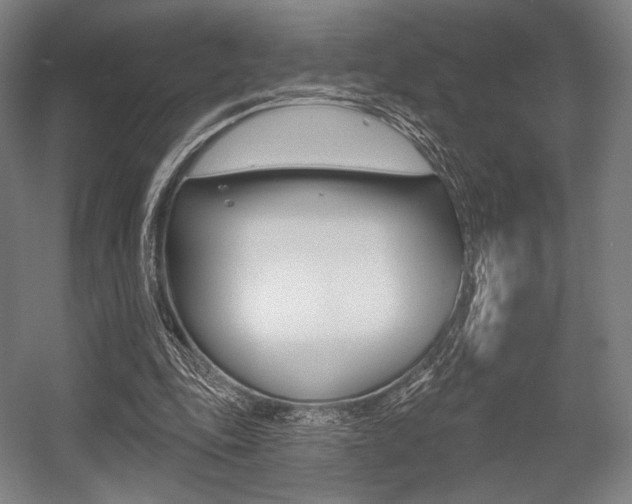 X0000055970343200508190709