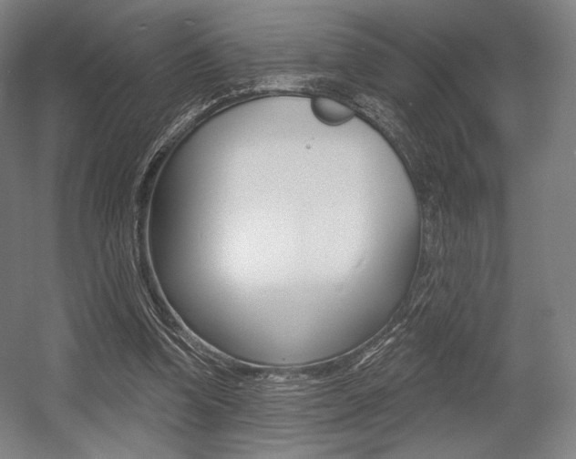 X0000055970346200508190709