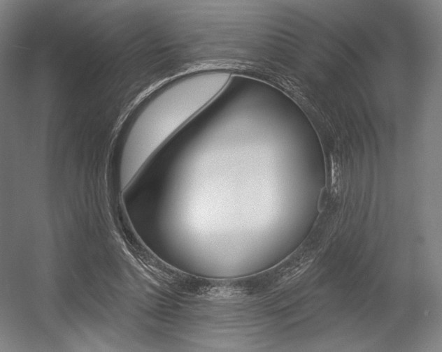 X0000055970348200508190709