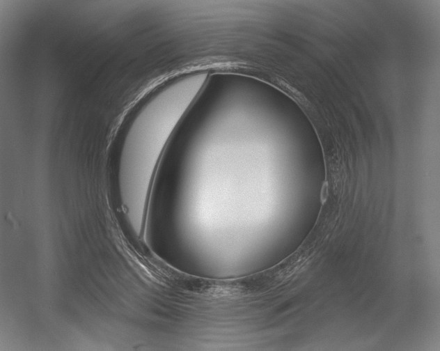 X0000055970350200508190709