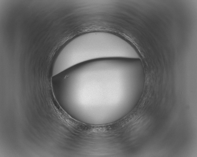 X0000055970353200508190709