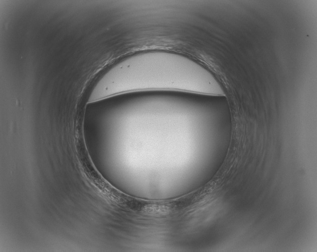 X0000055970354200508190709