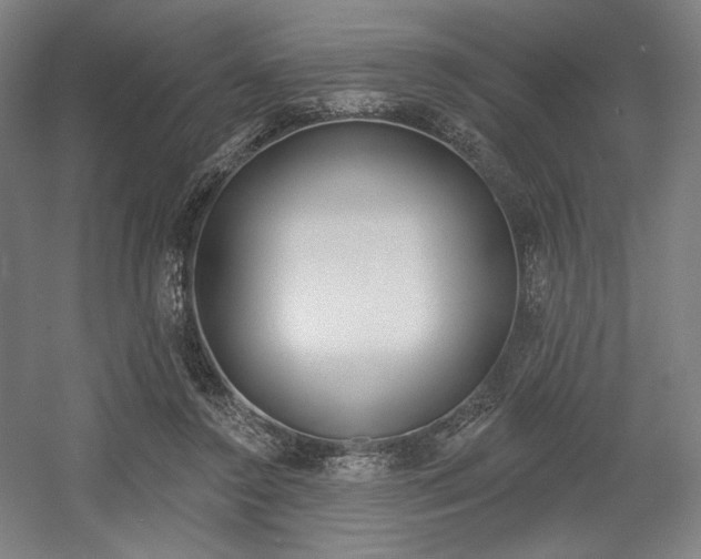 X0000055970356200508190709
