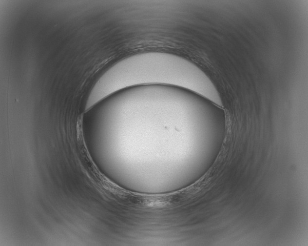 X0000055970360200508190709