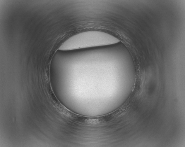X0000055970361200508190709
