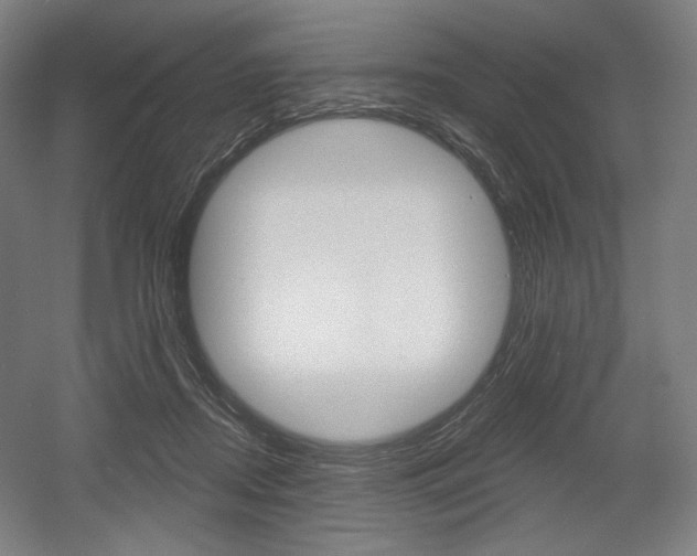 X0000055970362200508190709