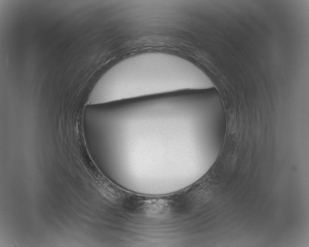 X0000055970363200508190709