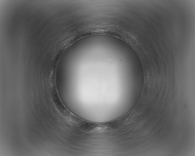 X0000055970364200508190709