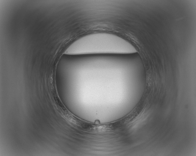X0000055970365200508190709