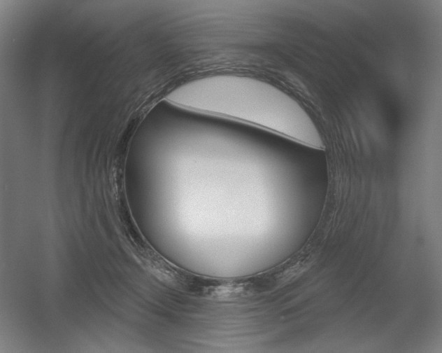 X0000055970366200508190709
