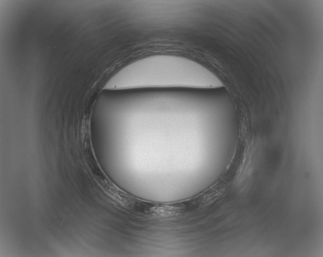 X0000055970367200508190709