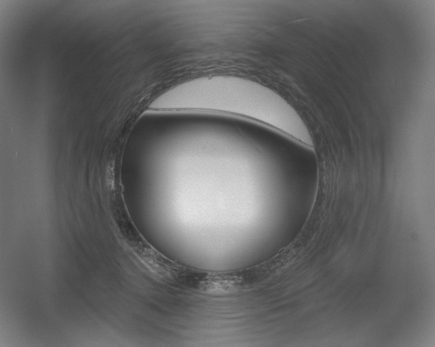 X0000055970368200508190709