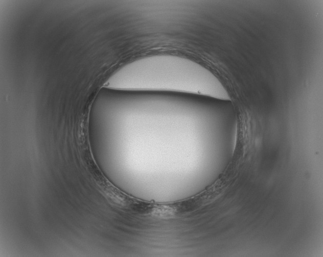 X0000055970369200508190709