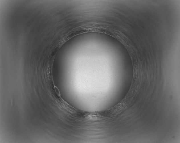 X0000055970372200508190709