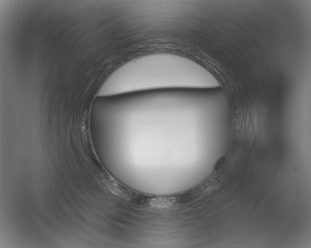 X0000055970373200508190709