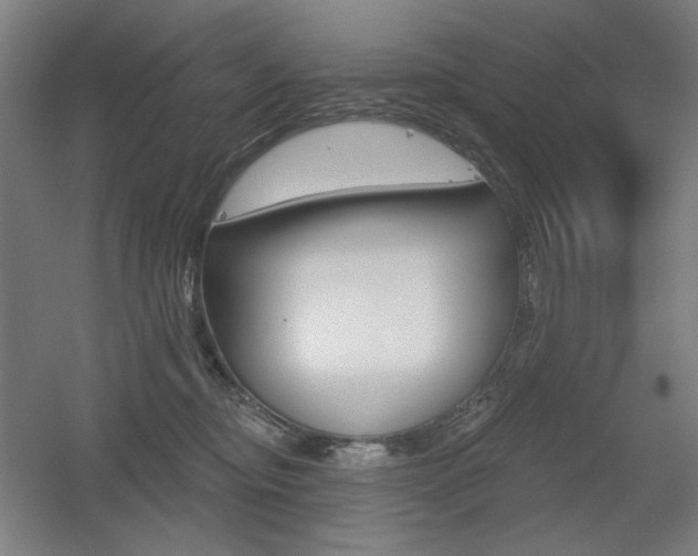 X0000055970374200508190709