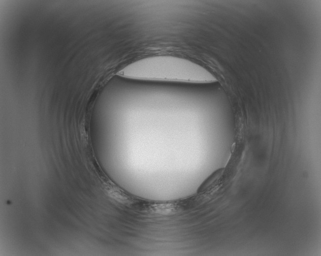 X0000055970377200508190709