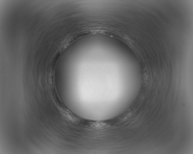 X0000055970379200508190709