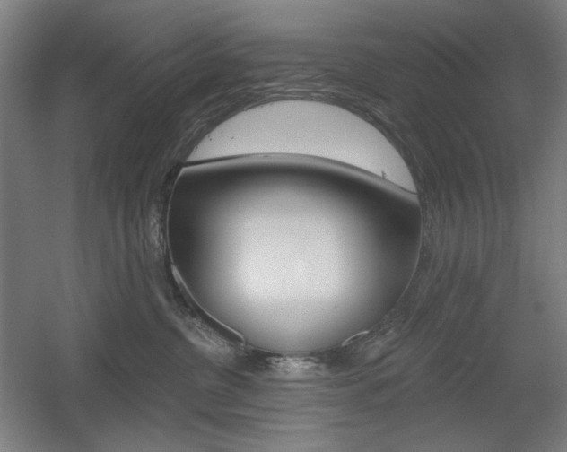 X0000055970380200508190709