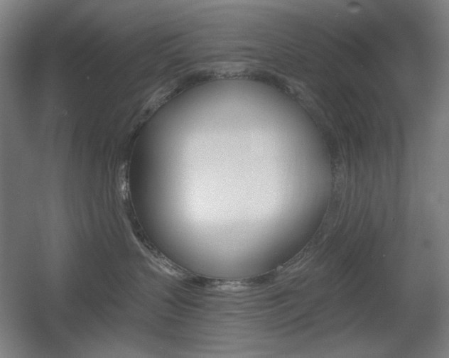 X0000055970383200508190710