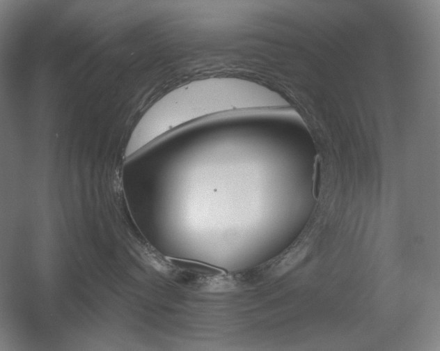 X0000055970384200508190710