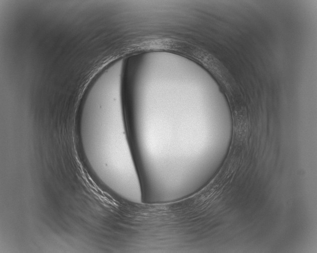 X0000055970386200508190709