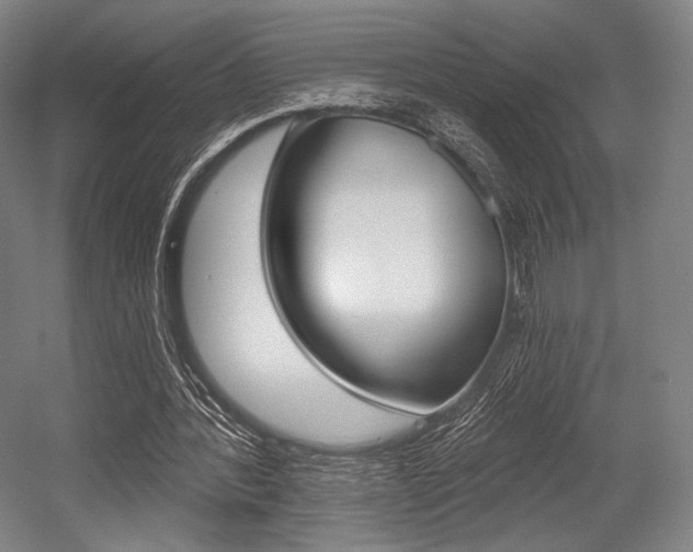 X0000055970388200508190709