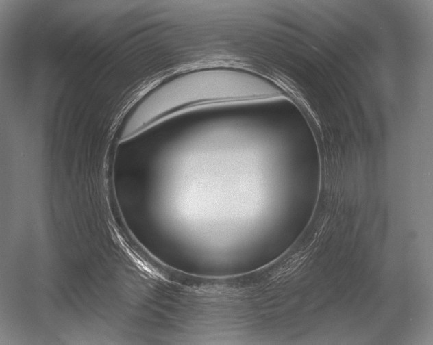 X0000055970389200508190709