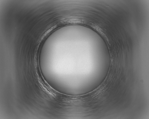 X0000055970390200508190709