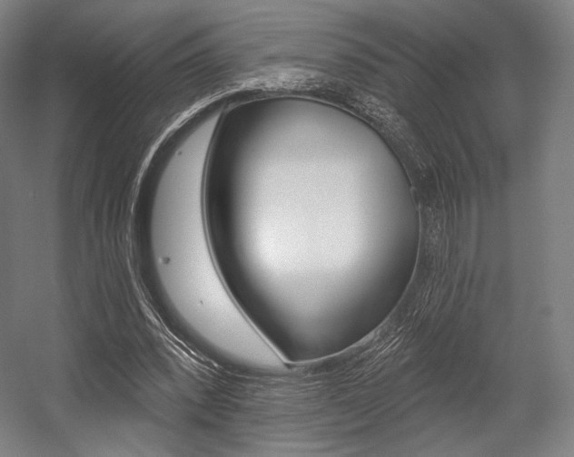 X0000055970392200508190709