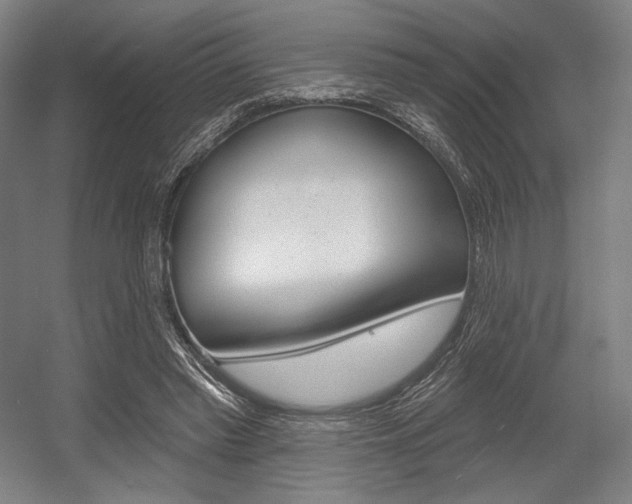 X0000055970397200508190709
