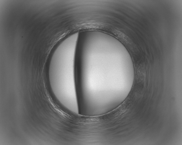 X0000055970398200508190709