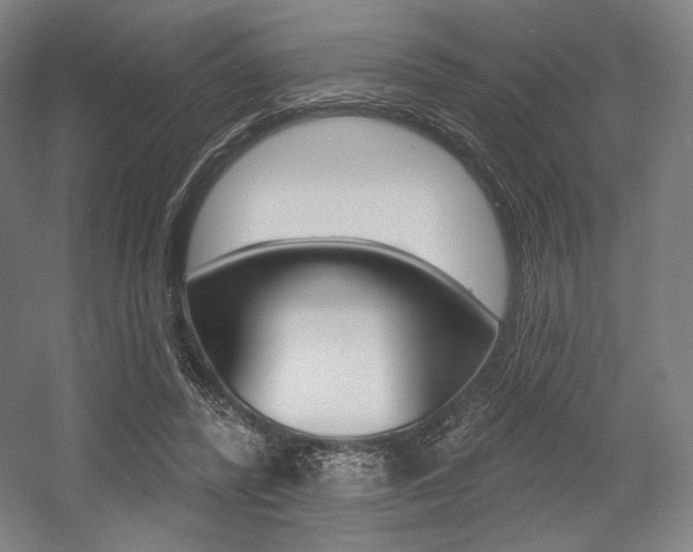 X0000055970400200508190708